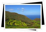 tenerife landscape